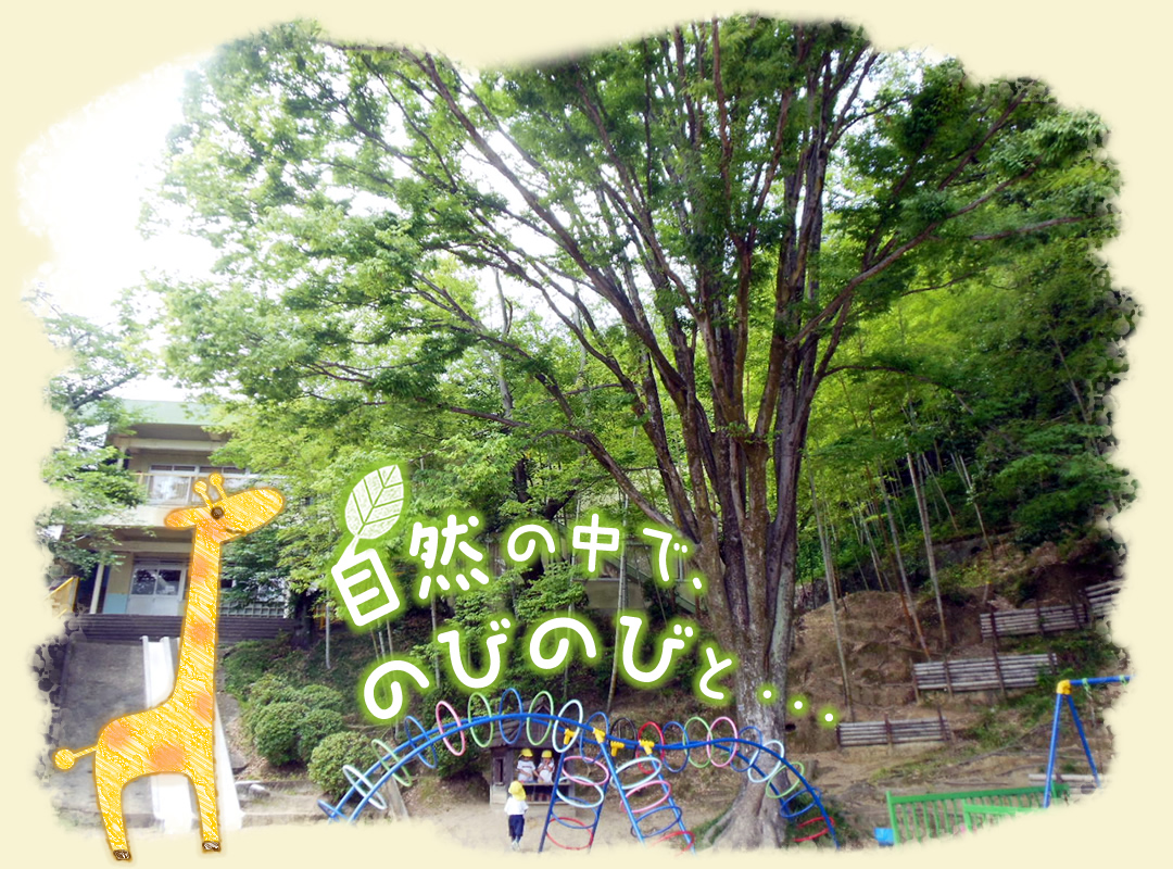 自然の中で、のみのびと・・・